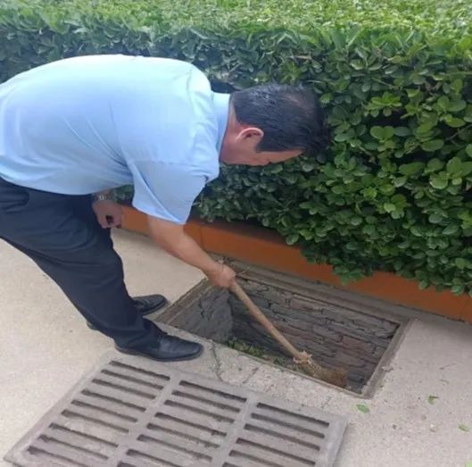 1691730874447414.jpg 4.jpg